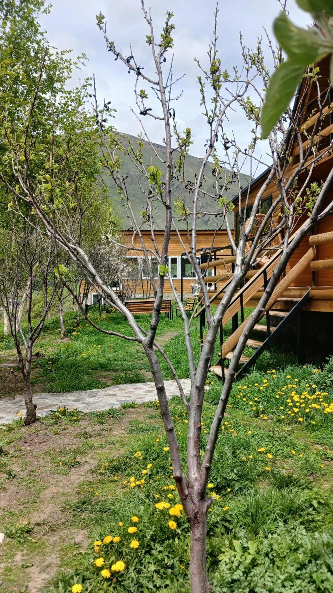 Apartment Donata
